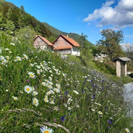 Miklavzeva Hisa With A Bread Oven Villa Zelezniki ภายนอก รูปภาพ