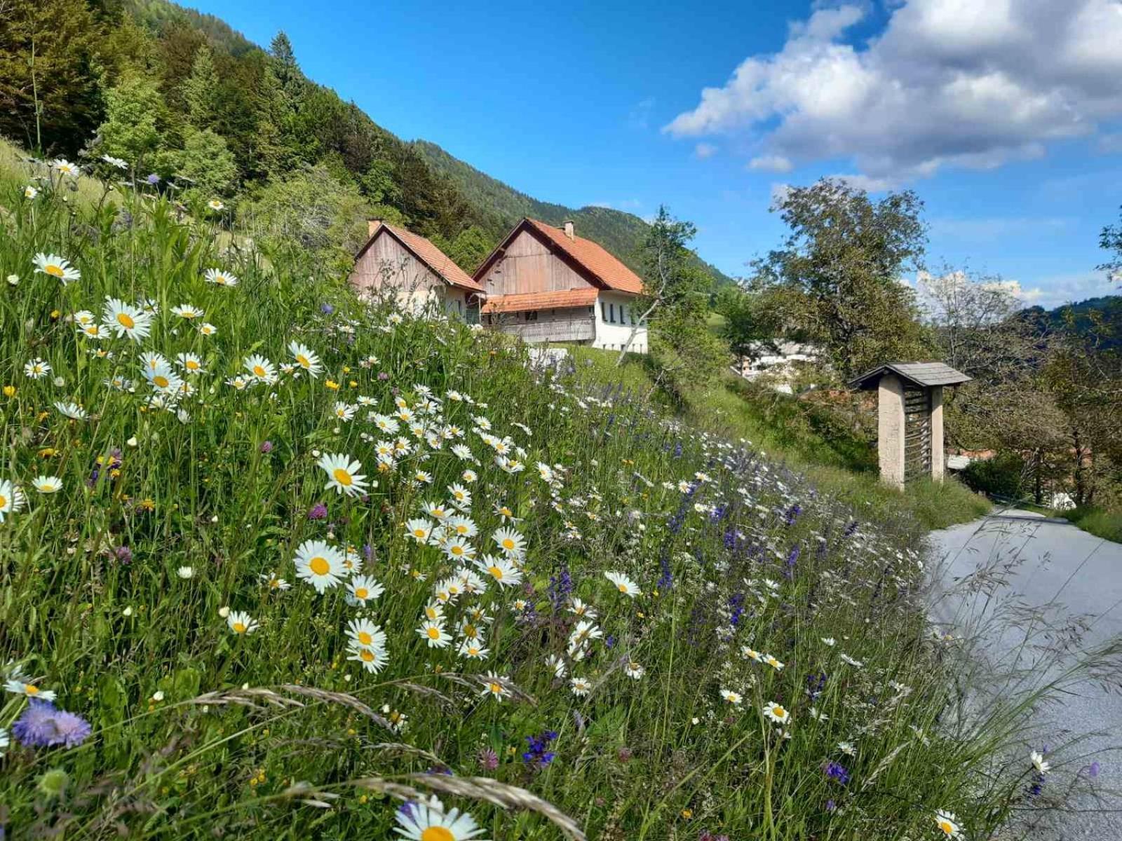 Miklavzeva Hisa With A Bread Oven Villa Zelezniki ภายนอก รูปภาพ
