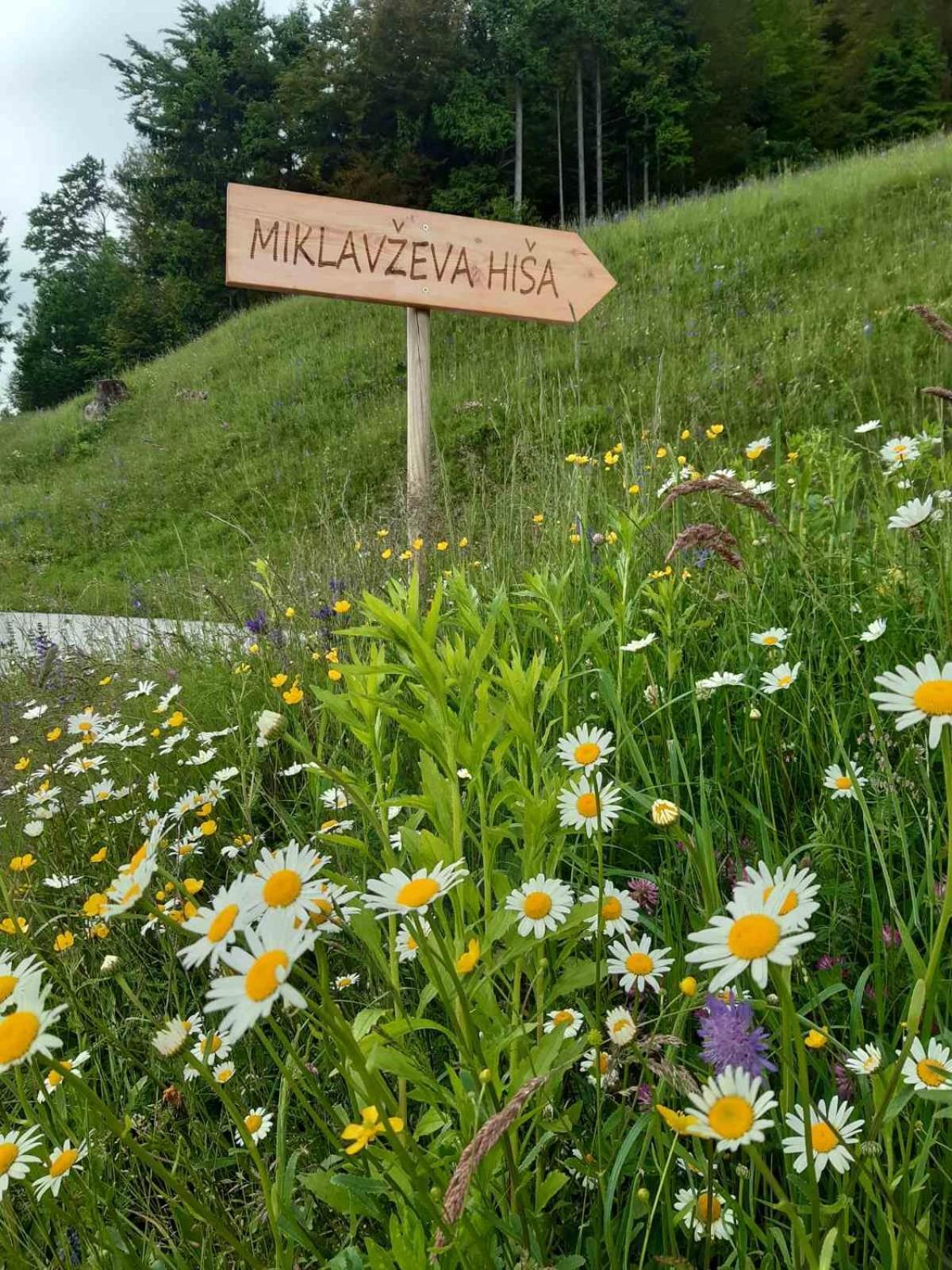 Miklavzeva Hisa With A Bread Oven Villa Zelezniki ภายนอก รูปภาพ